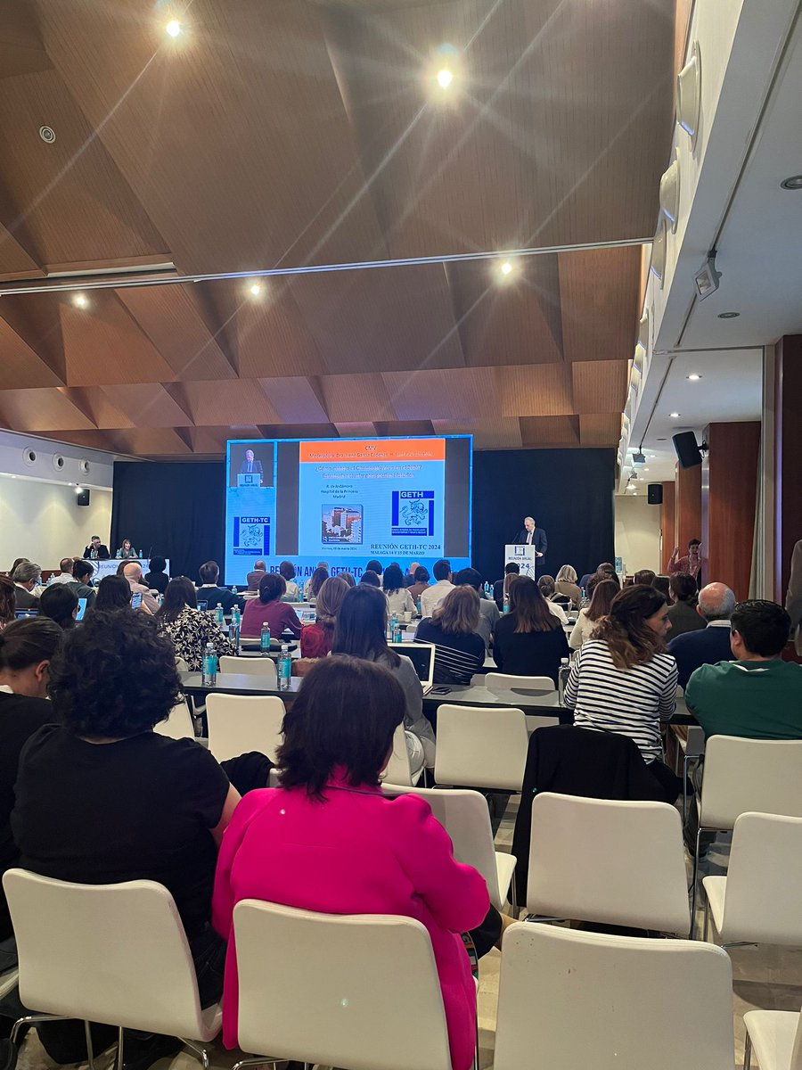 sehh_es's tweet photo. Hoy seguimos en la segunda jornada de la 28ª reunión anual del @GETH_info en #Málaga #geth2024 

@dvalcarcel @RDuarte_EBMT #hematología https://t.co/odknGviwfV