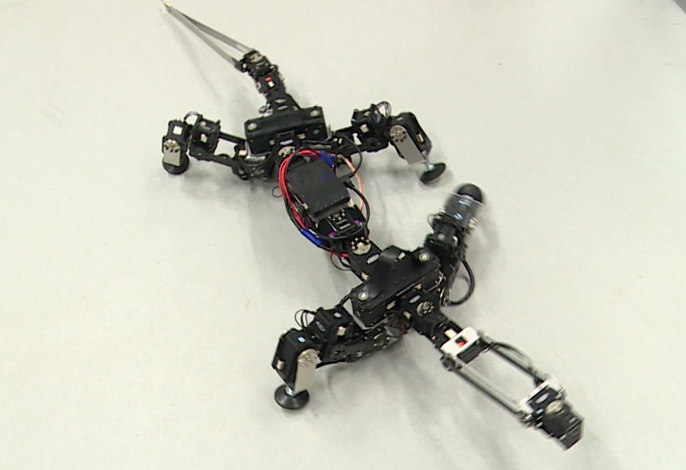 EPFL School of Engineering (@epflengineering) on Twitter photo When the <a href="/BBC/">BBC</a> commissioned 2 reptilian #robots from <a href="/BIOROB_EPFL/">Auke Ijspeert</a> for a documentary in 2016, the scientists never imagined how testing the devices in uncontrolled environments would change their approach to #roboticdesign. <a href="/KMRoBoTa/">KMRoBoTa</a> <a href="/SciRobotics/">Science Robotics</a> <a href="/EPFL_en/">EPFL</a> actu.epfl.ch/news/harsh-fie… When the <a href="/BBC/">BBC</a> commissioned 2 reptilian #robots from <a href="/BIOROB_EPFL/">Auke Ijspeert</a> for a documentary in 2016, the scientists never imagined how testing the devices in uncontrolled environments would change their approach to #roboticdesign. <a href="/KMRoBoTa/">KMRoBoTa</a> <a href="/SciRobotics/">Science Robotics</a> <a href="/EPFL_en/">EPFL</a> actu.epfl.ch/news/harsh-fie…