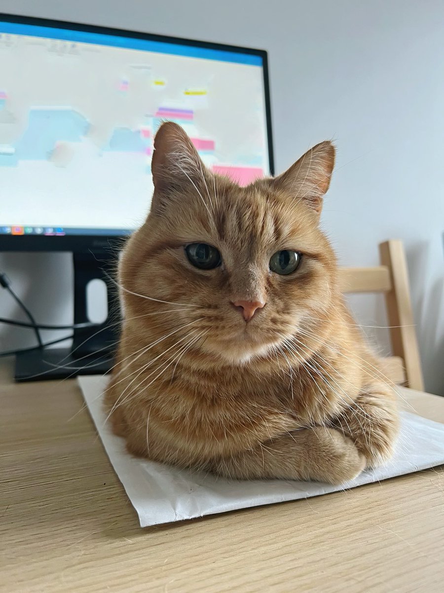 We’re working from home today and my mum has worked out that if she puts an envelope on her desk, I will sit on that instead of her keyboard. 🐾🧡#CatsWorkingFromHome