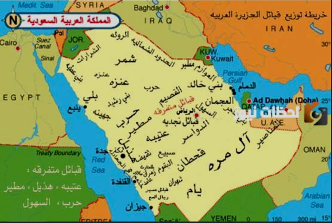 عبدالله بن عاصي tweet media