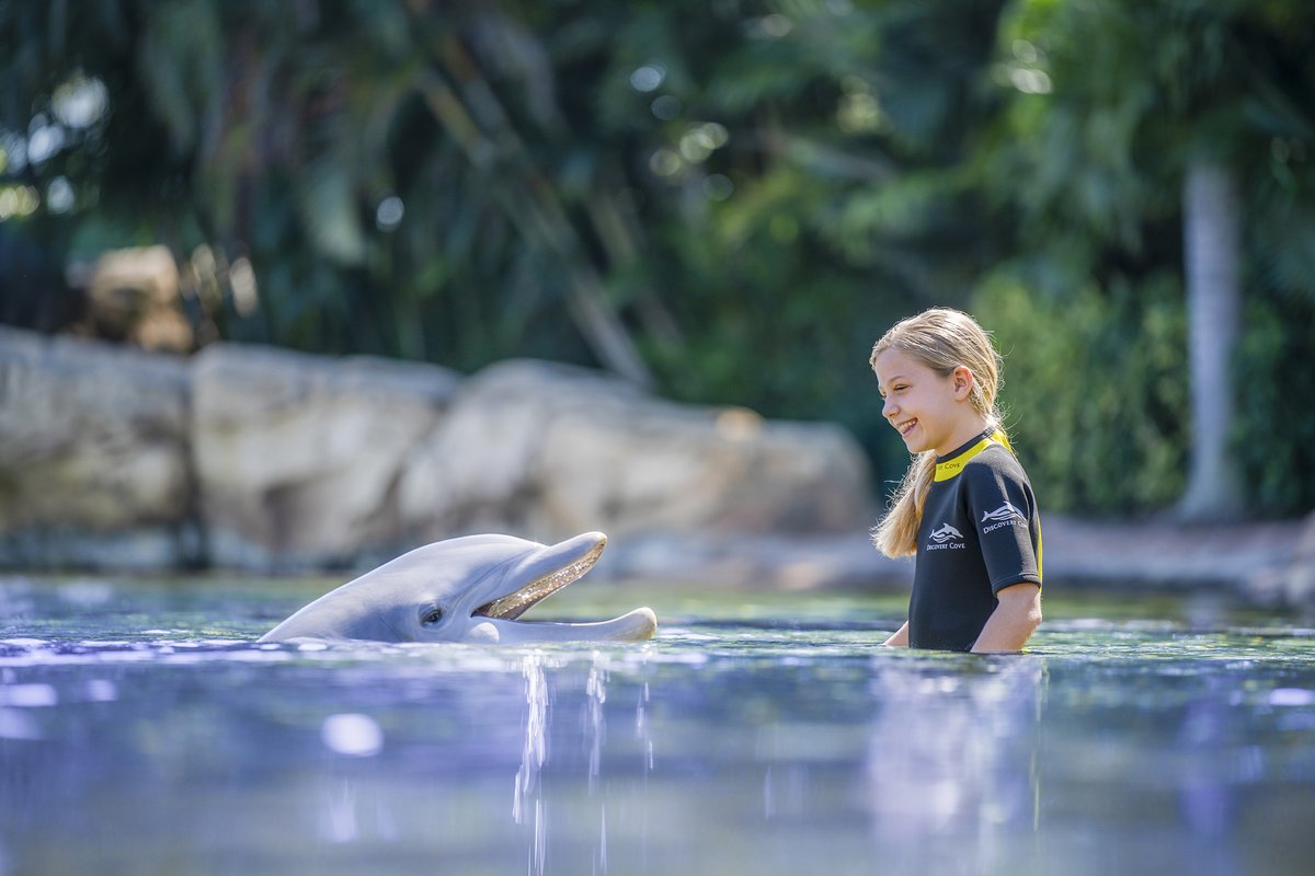 🐬🐠 Our friends at Discovery Cove Orlando are giving you the chance to win an incredible experience! All proceeds benefit Give Kids The World's mission to provide cost-free vacations to children with critical illnesses and their families. Enter now at gktw.org/discoverycove ⬅️