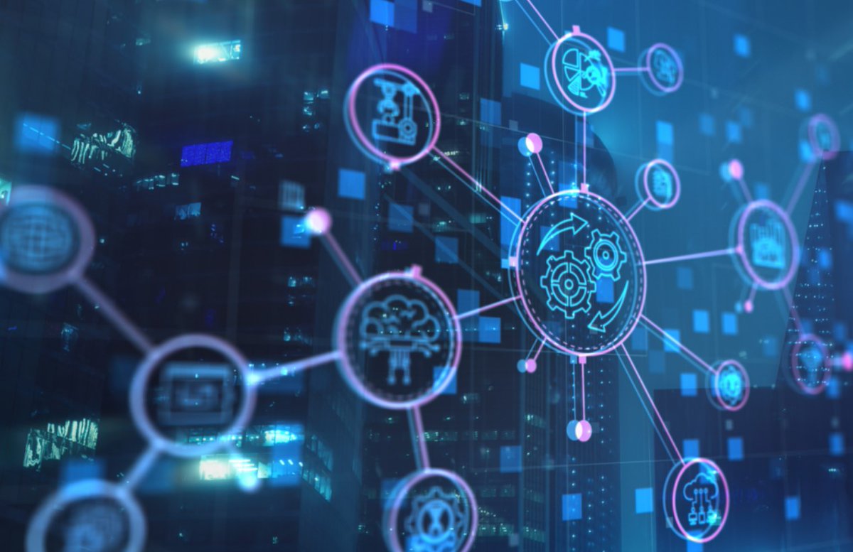 Wildcat VC tweet media