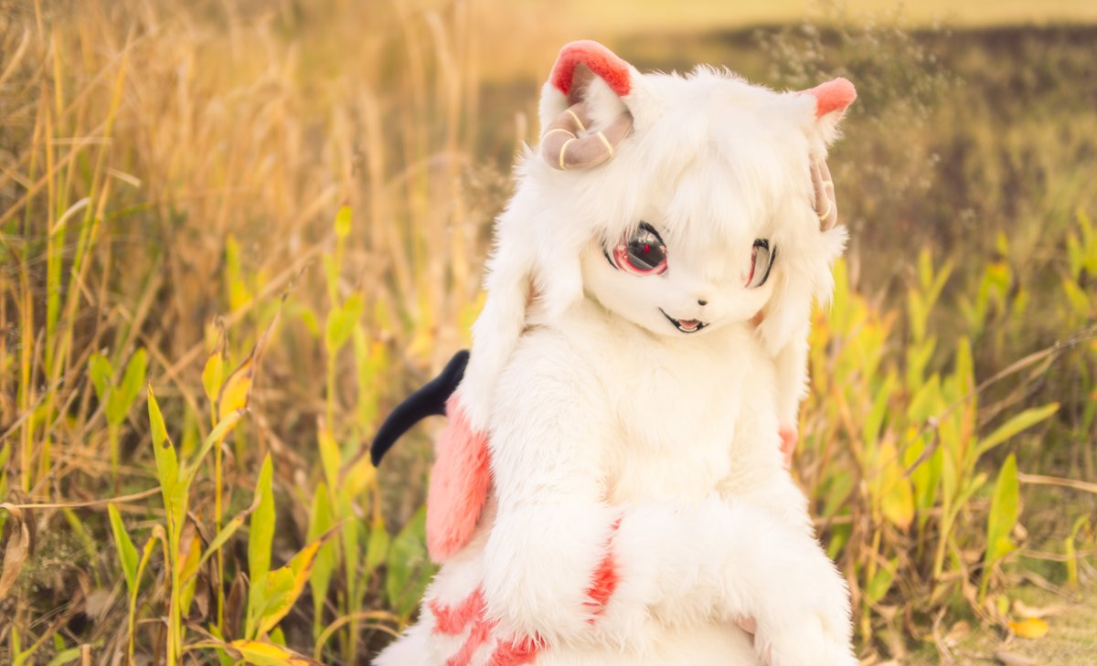 ATMeow_A's tweet photo. #FursuitFriday
🌇 https://t.co/uJogIpoRnF