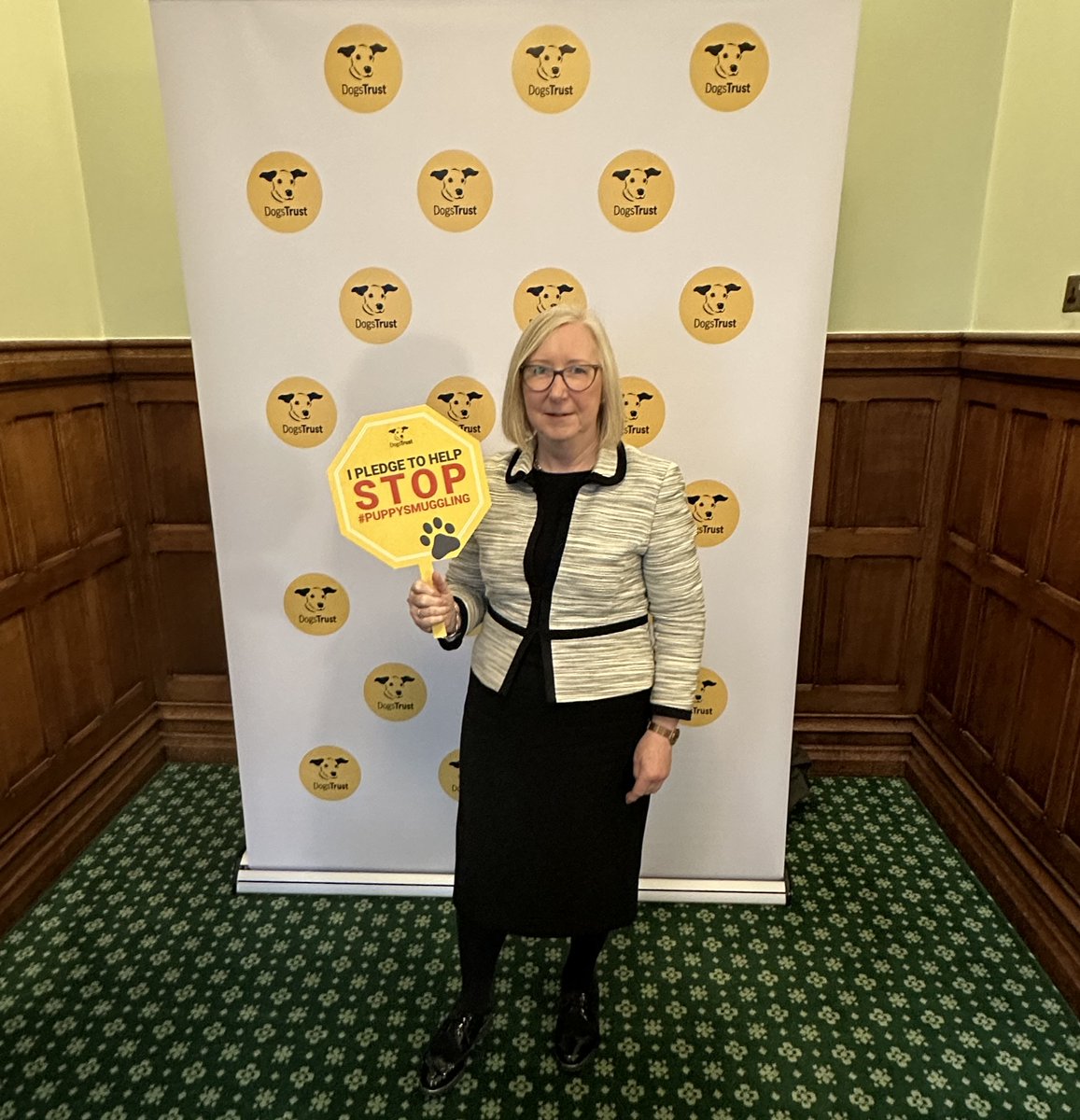 I know many #Erewash residents are concerned about the #puppysmuggling trade This week in Parliament, I was pleased to meet with representatives from @DogsTrust to discuss the importance of tackling the cruel #puppysmuggling trade
