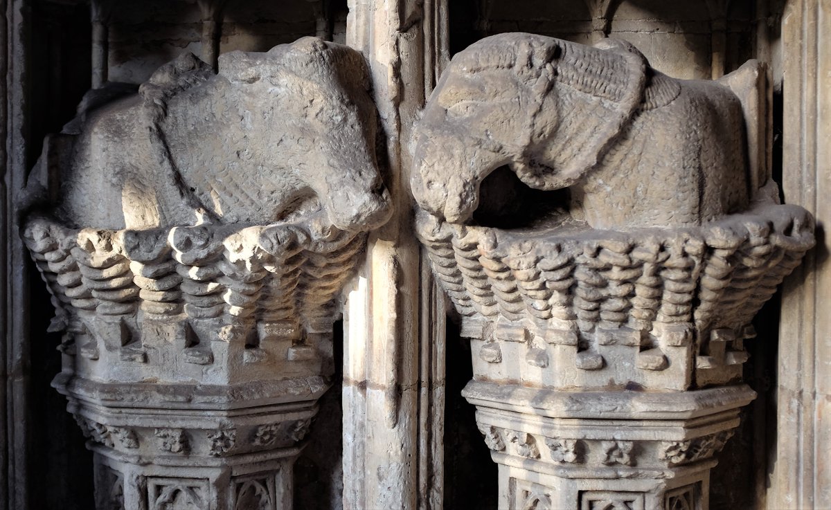 Exeter Cathedral #Devon 
The ox and the ass, part of a Nativity scene within the south porch on the C14 west front. So beautiful!
#FavouriteCarvings