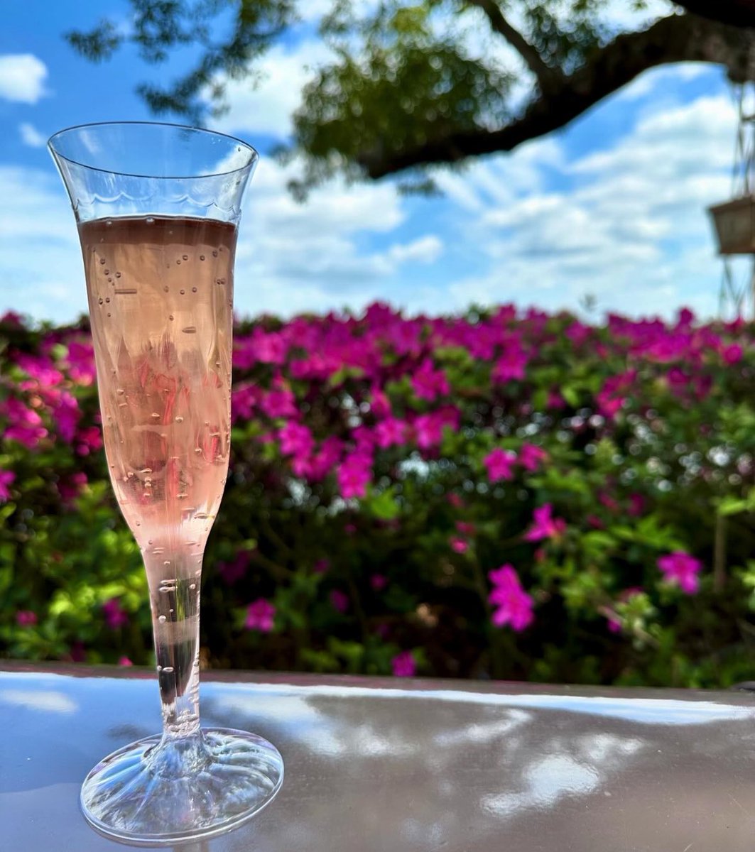 Sweet and simple: sparkling wine with a splash of Monin raspberry syrup from the France Pavilion at the #EPCOT Flower and Garden Festival. Light and refreshing. #sparklingwine #holidaydrinks #france #wine #moninsyrup #monin
