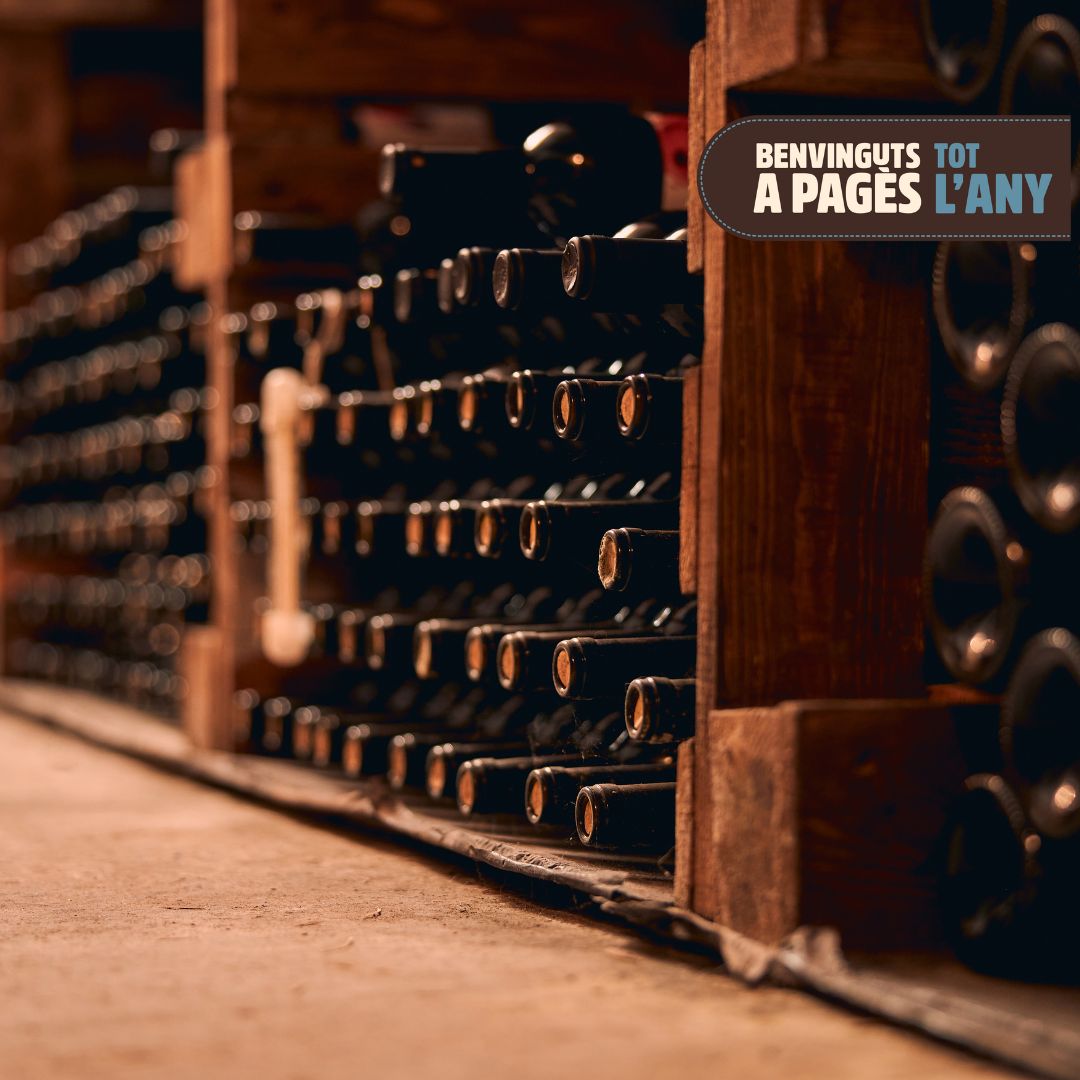 El Penedès és terra de vins, i el Celler Can Suriol té les portes obertes perquè els visitis i coneguis tot el procés de creació dels seus vins i caves. 🍾 Amb l'Assís, en Francesc i en Pau, gaudireu d'una estada excel·lent a les seves instal·lacions. 🍷