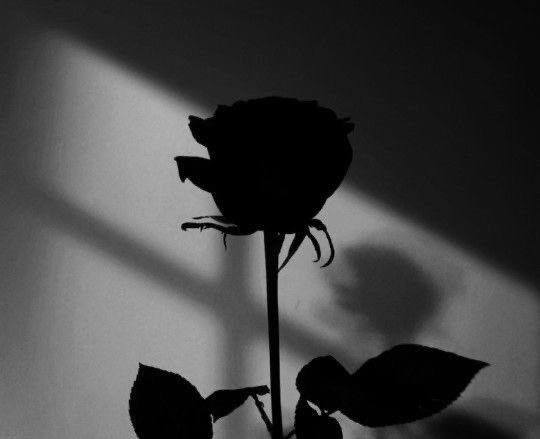 orenjienim's tweet photo. —Divorce 
~ What do you do with a broken heart?

Seokgyu / Gyuseok
Few tweets au 
Angst https://t.co/vxw1uTofr0