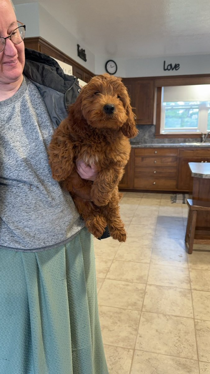 Welcome our newest business to the best wireless network 🐶🌎💼📱#OHPA #Wemeanbusiness