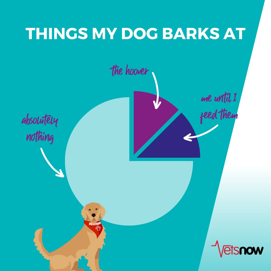 What else would be on your dog's pie chart!? 😆