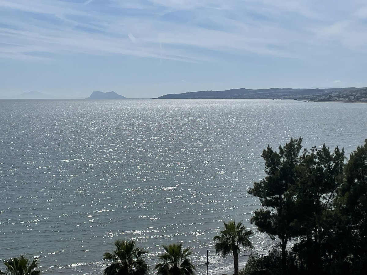 Peter Breuer tweet media