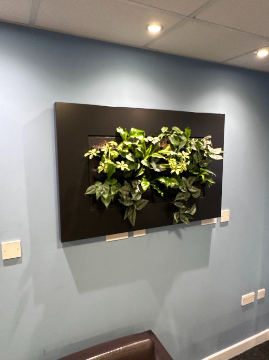 dbmutton's tweet image. Met with fellow @BNICityWall colleague Paul Bentley @livinlandscapes &amp;amp; his partner Denise Gomes to learn more about the business. Got a sneak peak of a Chelsea project they are working on. Plus I saw some of their Living Wall products #exeternetworking #businessnetworking #bni