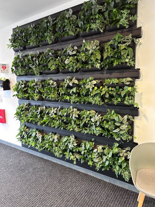 dbmutton's tweet image. Met with fellow @BNICityWall colleague Paul Bentley @livinlandscapes &amp;amp; his partner Denise Gomes to learn more about the business. Got a sneak peak of a Chelsea project they are working on. Plus I saw some of their Living Wall products #exeternetworking #businessnetworking #bni