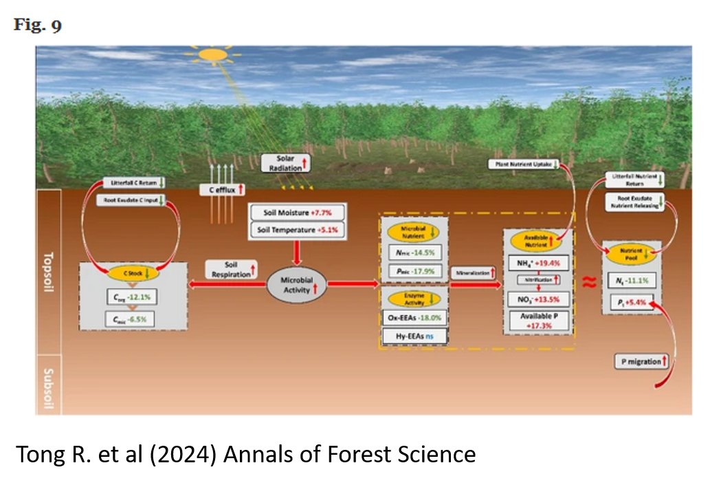 AnnalsForestScience (@annforsci) on Twitter photo New #OpenAccess #ResearchPaper: "Canopy gap impacts on soil organic carbon and nutrient dynamic: a meta-analysis" by Tong R. et al #ChineseAcademyOfForestry <a href="/ClemsonCAFLS/">Clemson CAFLS</a>
See doi.org/10.1186/s13595…
Shareable link rdcu.be/dBkxq New #OpenAccess #ResearchPaper: "Canopy gap impacts on soil organic carbon and nutrient dynamic: a meta-analysis" by Tong R. et al #ChineseAcademyOfForestry <a href="/ClemsonCAFLS/">Clemson CAFLS</a>
See doi.org/10.1186/s13595…
Shareable link rdcu.be/dBkxq