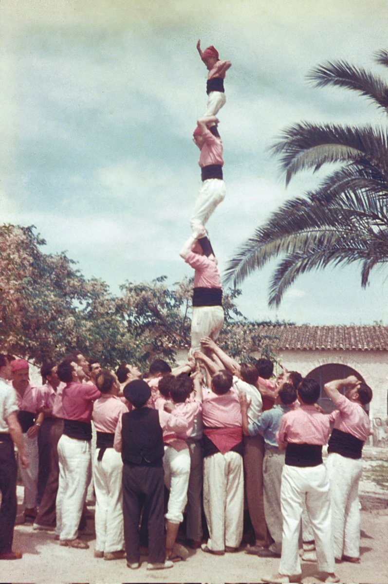 Francesc Bou tweet media