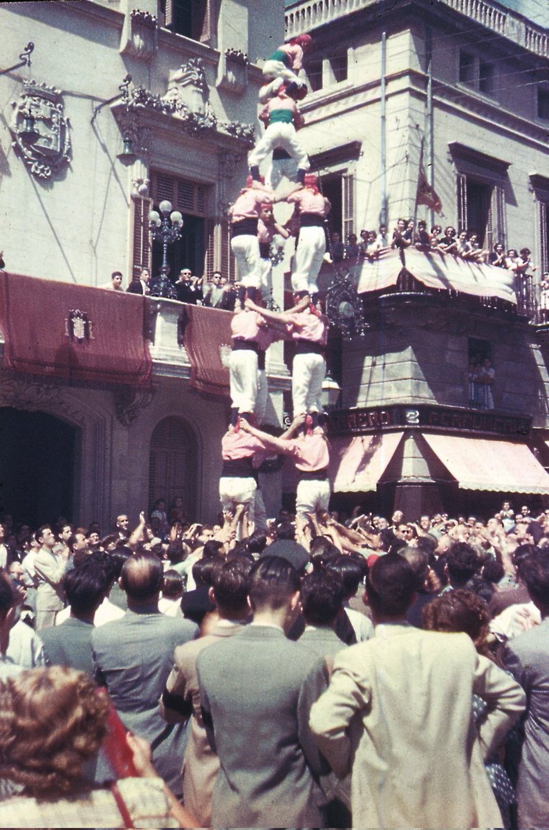 Francesc Bou tweet media