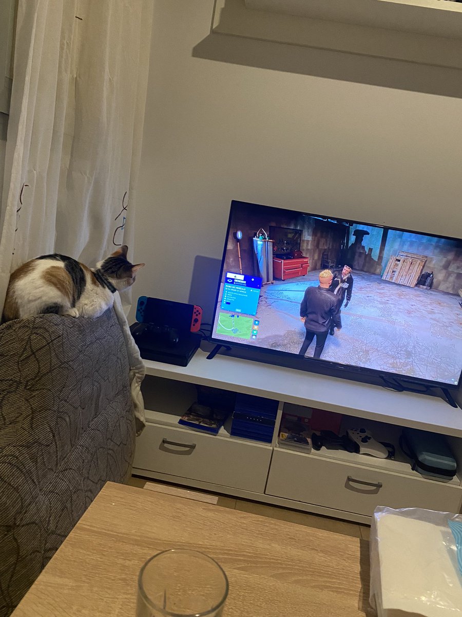 Mi bb viendo a <a href="/imantadotv/">imantado</a> y <a href="/auronplay/">Auron</a> es fan 🐱❤️