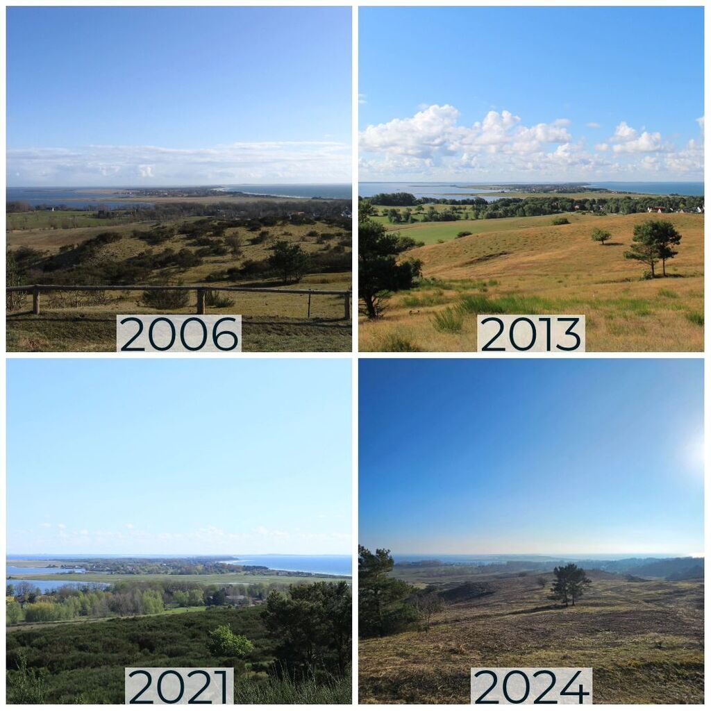 hiddenseeforum's tweet photo. Der Inselblick von 2006 bis heute.
#hiddensee #inselblick #inselliebe #inselhiddensee #hiddenseeforum #hiddensee_moments #throwback #blickzurück #damals #damalsundheute https://t.co/ksY9UFlSDM