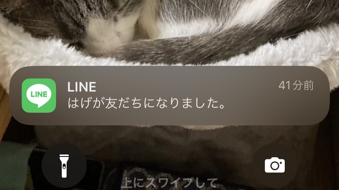 alc_trust's tweet photo. 誰やねんって声出た https://t.co/cuMZ7fNRgb
