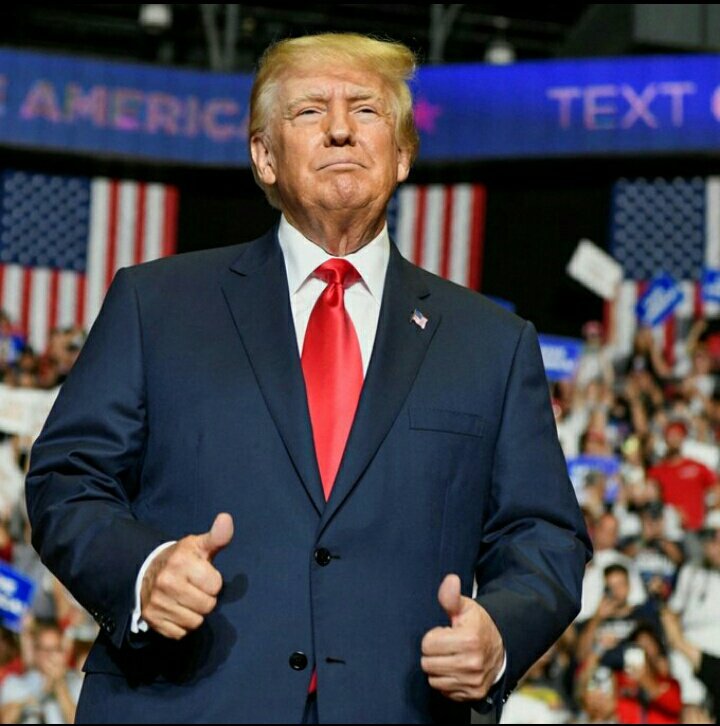 In 230 days,will you be voting for President Trump!!? Yes or No