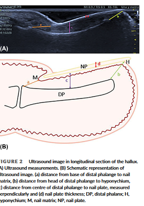 Rheumatology tweet picture