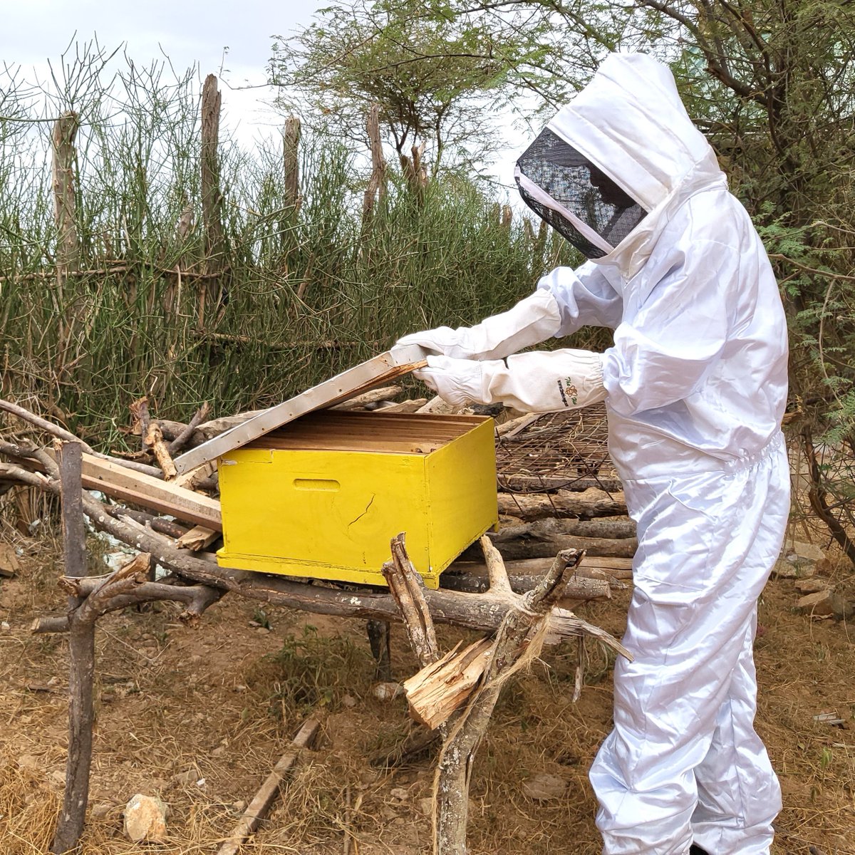 USAID Kenya Livestock Market Systems Activity has supported 5,827 SMEs in pastoral communities to pursue diversified livelihoods such as crop cultivation, beekeeping, and value addition. Training, infrastructure development, and market linkages enhance sustainable growth.