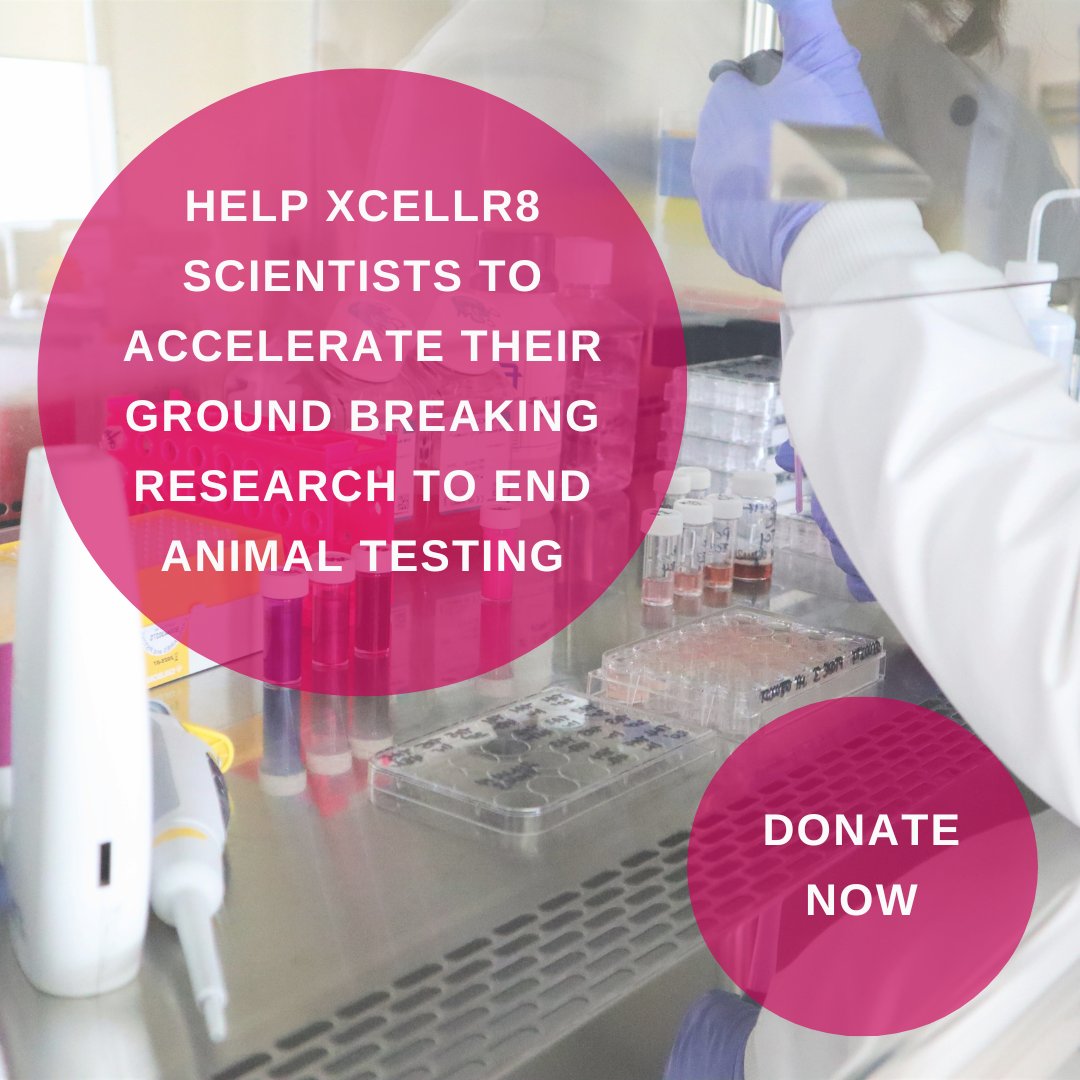 We want to make sure all animals have a voice. That’s why our incredible scientists do things differently, to help make a change. 🐇🐖🐁

Help us get there. Donate and share now: ow.ly/kkxs50QSacx

#animalfreetesting #RedefiningTesting #animalproductfree #betterscience