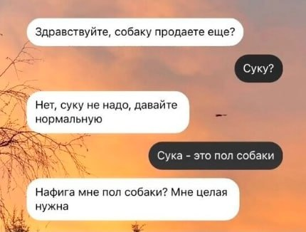 5xaxa's tweet photo. https://t.co/Scl9ihf5oq