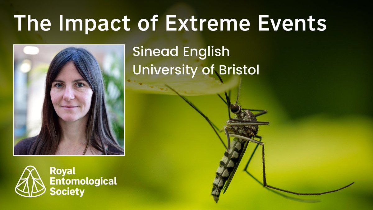 Ecol_Ent's tweet image. Next up is Sinead English from @BristolUni.

Sinead's research focuses on how variation in environmental and maternal conditions shapes offspring development including ageing in disease vectors and the effect of climate change on insect evolution. #RESExtreme24