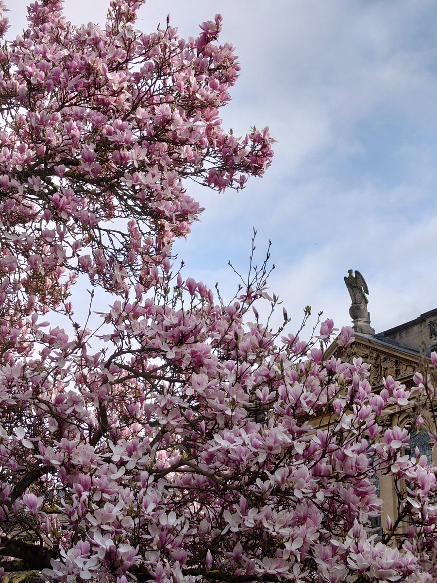 Queen's College Library tweet media