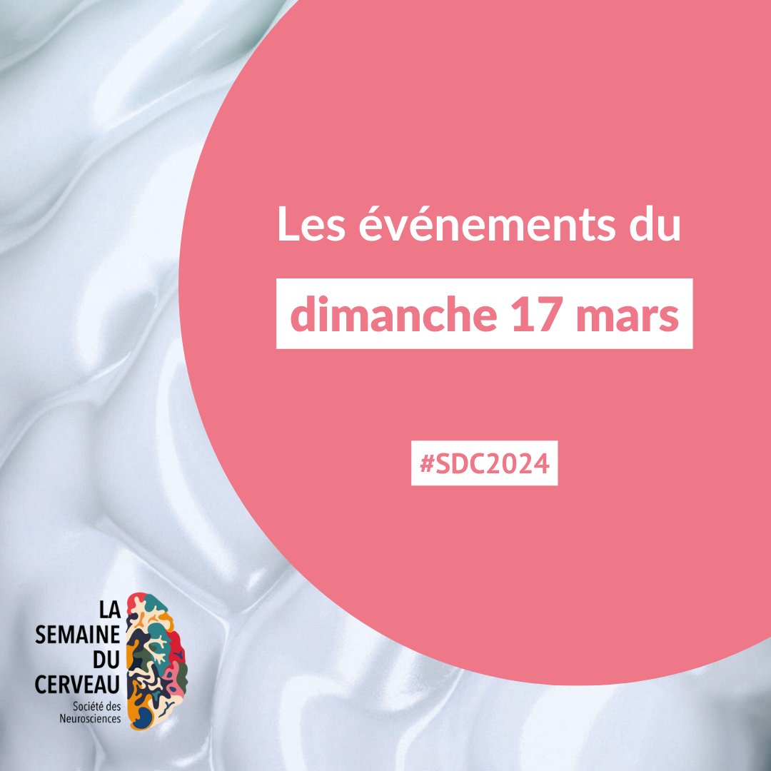 [Jour 7]
Paris, Bordeaux, Toulouse, il est encore possible de profiter de la Semaine du Cerveau ! 
Tous les événements de la journée : cutt.ly/mw01a7LH

#SDC2024 #neurosciences