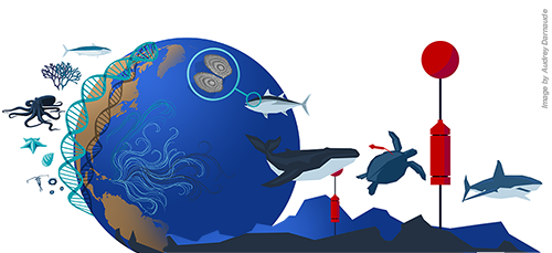 NEW OPEN ACCESS MEPS THEME SESSION PUBLISHED <a href="/MEPS_IR/">Marine Ecology Progress Series (MEPS)</a> int-res.com/abstracts/meps… <a href="/ADarnaude/">Audrey Darnaude</a> <a href="/pleuronect/">Ewan Hunter</a> <a href="/COSTprogramme/">COST</a>