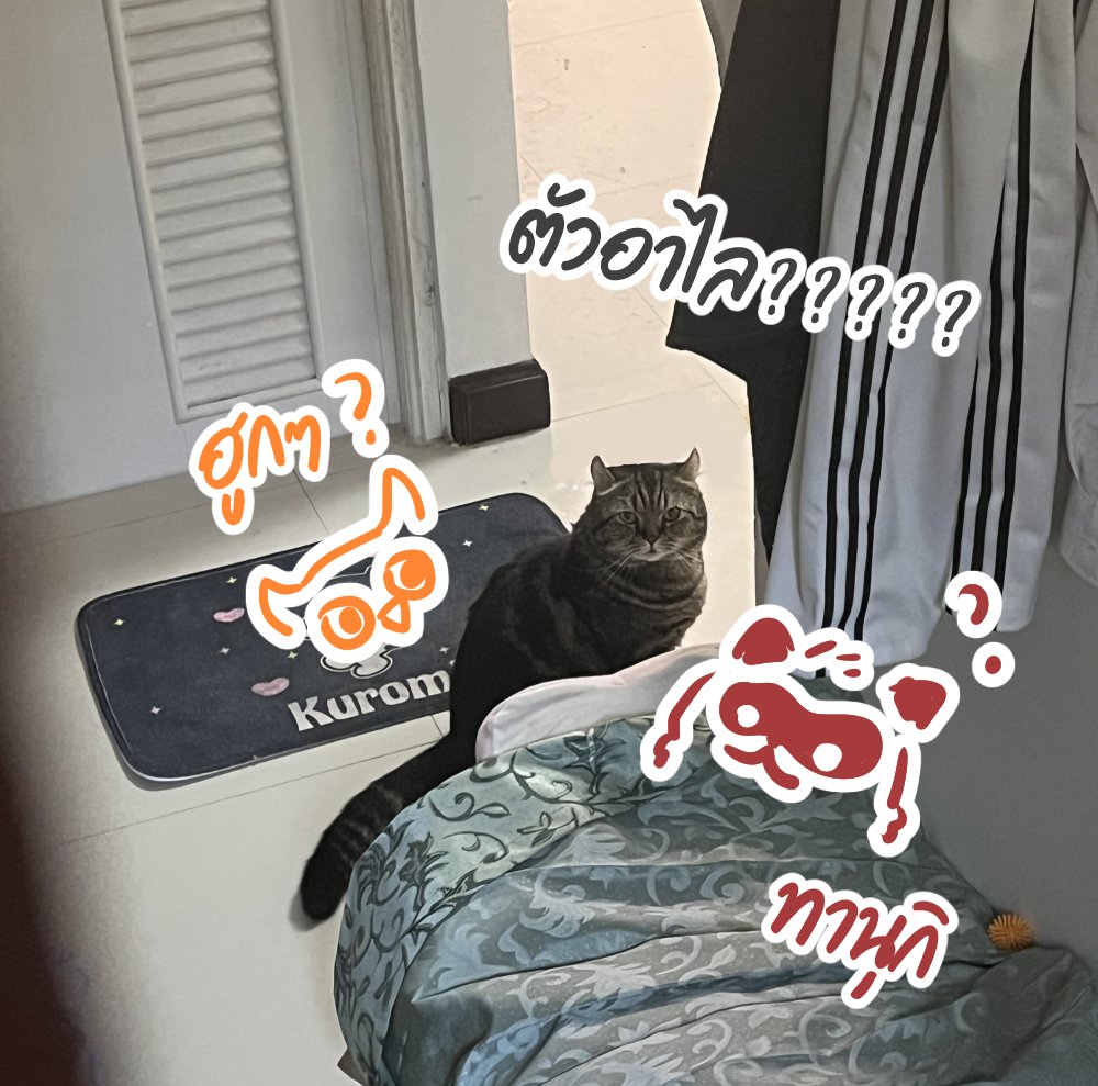 ไม่แน่ใจแล้วว่าตอนนี้เลี้ยงอะไรอยู่ ทำไมหน้าตาแบบนิ 😭😭😭😭 #เนโรหิวน้ำ