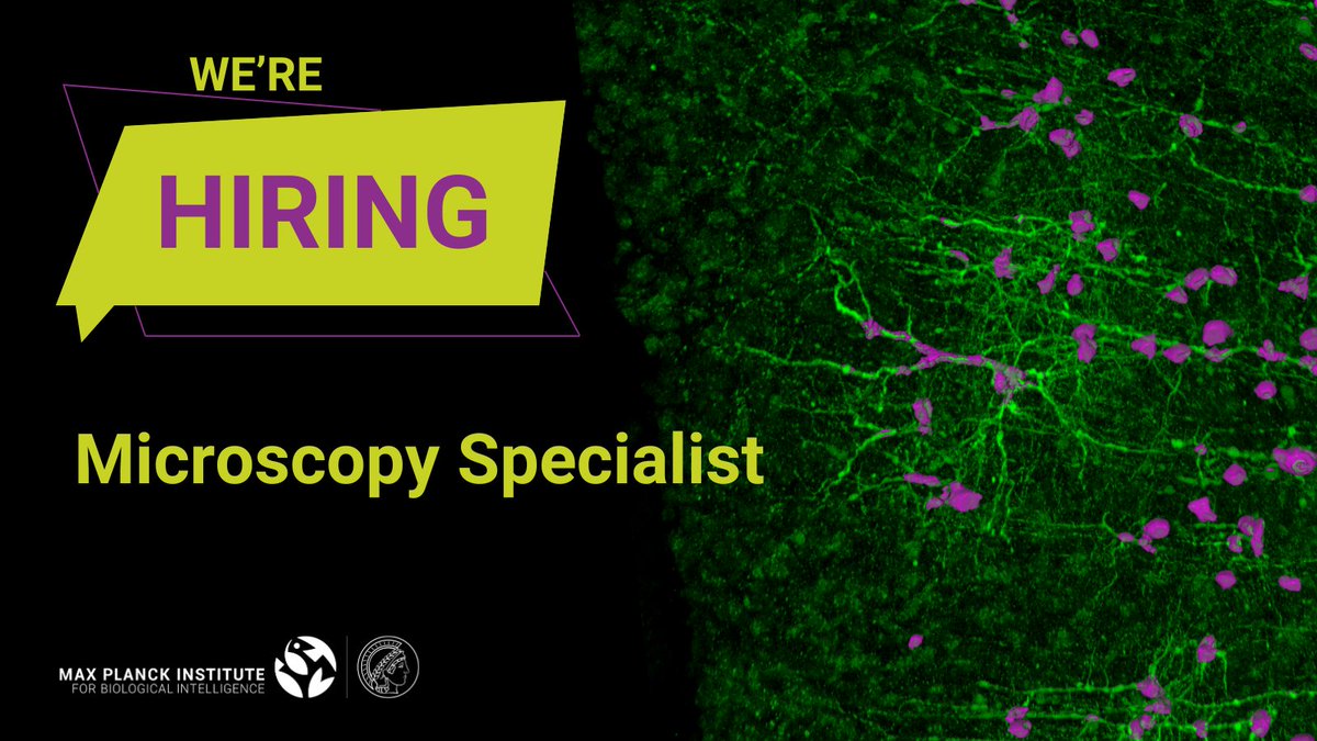 MPIforBI's tweet image. 🔬Microscopy excites you? Come join our Imaging Facility! We are hiring a specialist for microscopy (e.g. fluorescence, confocal and 2-photon microscopy) to help maintain our instruments, develop new setups and give trainings for our institute members! Find out more:…