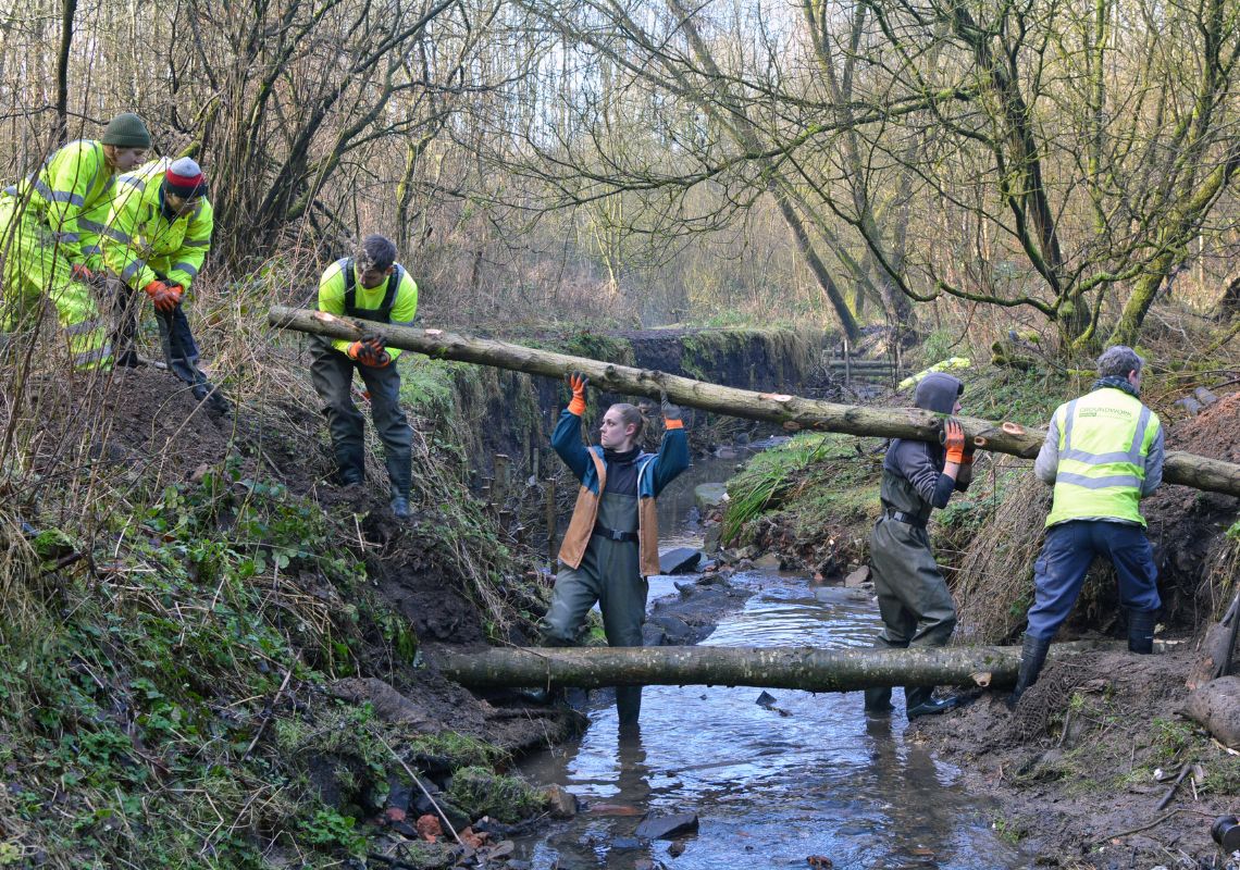 🌊 Naturalizing riverbanks
🌳 Planting trees & enhancing woodlands
🦎 Creating habitats for water voles, waxcap mushrooms & the Great Crested Newt

#SpeciesSurvivalFund #TogetherForOurPlanet