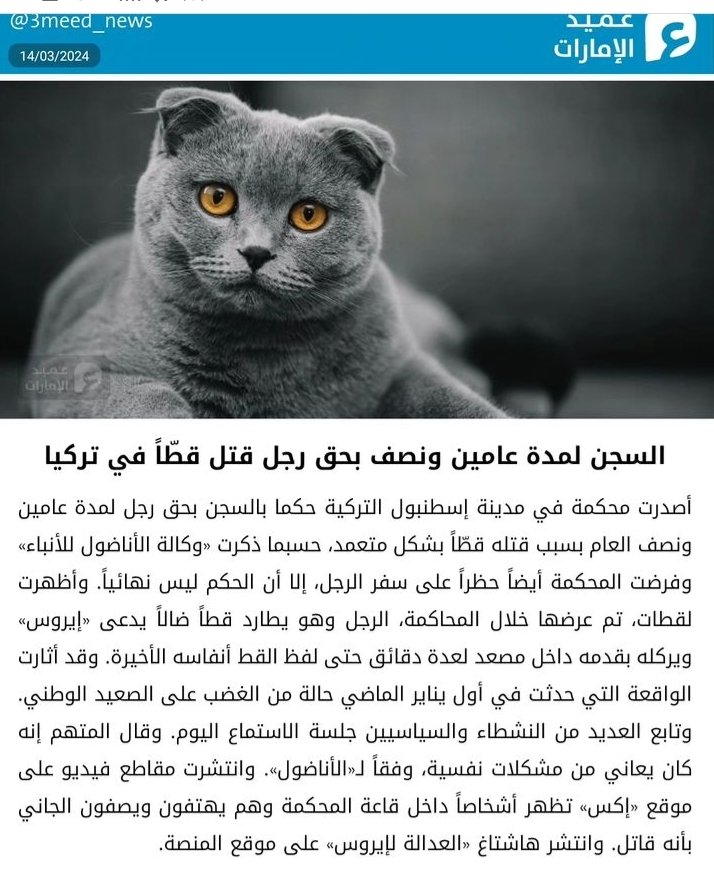1996h55's tweet photo. #قطط #تركيا #سجن
يستاهل https://t.co/FBaFKiNXdR