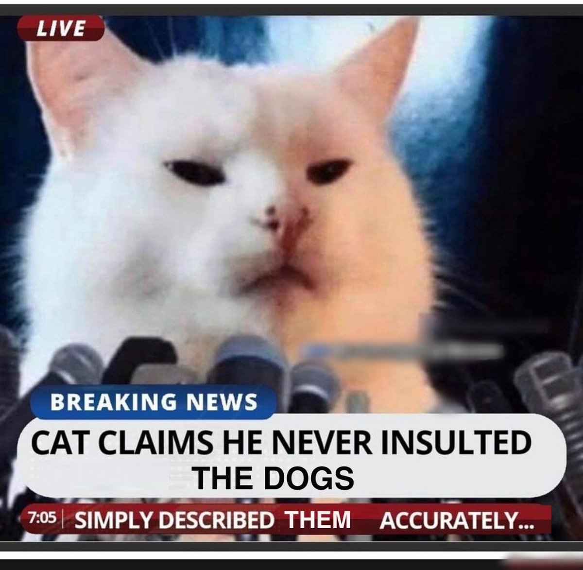 SOLCATS (@SolCatsOfficial) / Posts / X