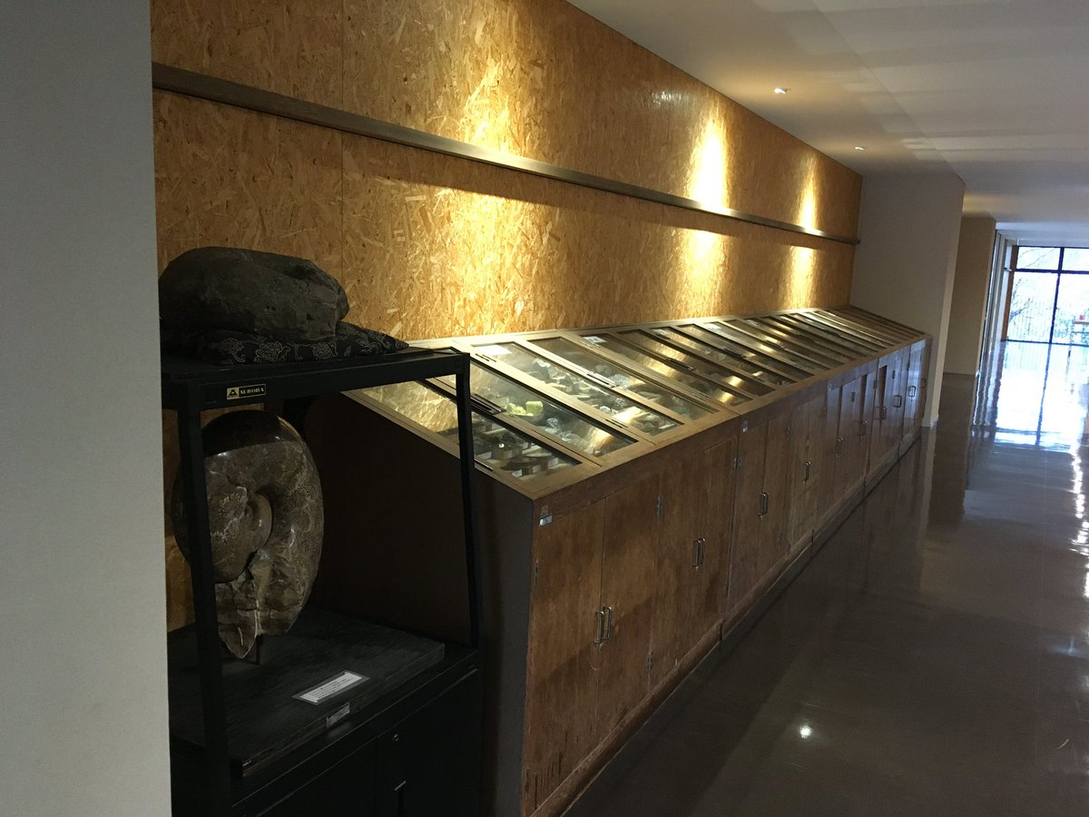 musashi_anniv's tweet image. 【記念祭まであと"43"日です！】

《団体紹介》
地学部

《一言コメント》
地層、鉱物、化石。地球の作った奇跡をご覧あれ。理科棟3階でお待ちしています。

#武蔵102記念祭