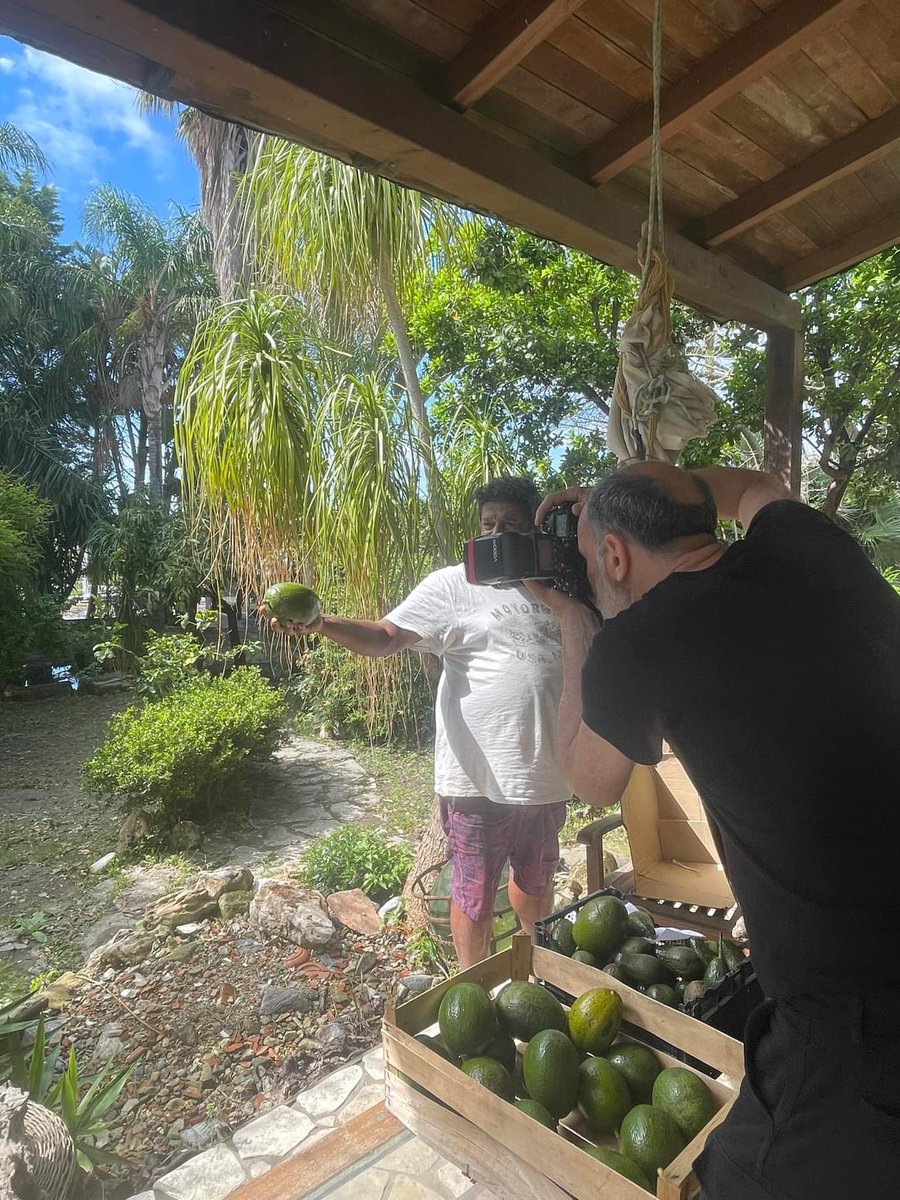 Zoroastro84's tweet photo. Su @RollingStoneita è uscito "Avanguardia Tropicale" l'ultima fatica di un viaggio intrapreso quasi un anno fa, tra deserti siciliani e piantagioni di frutta esotica. https://t.co/qR5rVLmwU9 https://t.co/qFcY49W5yo
