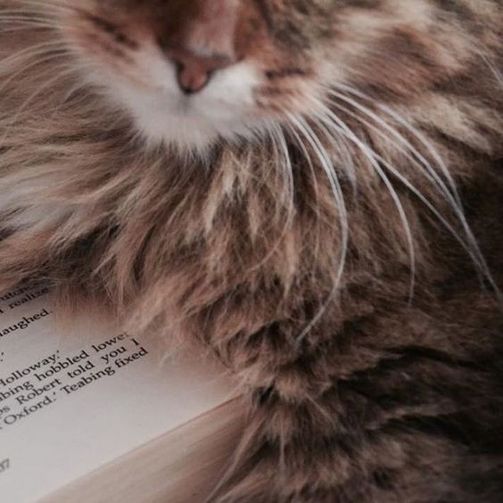 g. dekarios ; HIATOS (@wizardekarios) on Twitter photo 