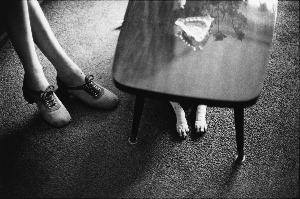 📸 Elliott Erwitt. ¡Buen viernes!