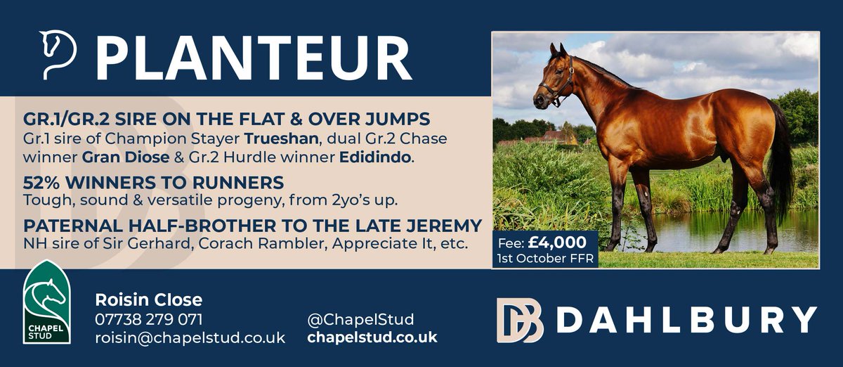 💥 @ChapelStud's PLANTEUR 💥 ✨ Gr.1/Gr.2 sire on the Flat & over jumps, including Trueshan, Gran Diose & Edidindo ✨ 52% winners to runners ✨ Paternal half-brother to the late Jeremy For more information visit ➡️ chapelstud.co.uk/our-stallions/… #ReadAllAboutIt