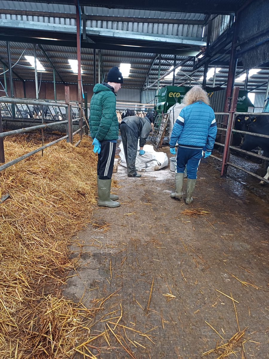 All hands on deck helping out on Sarah and Gabriel's farm in Tipperary. Real enthusiasm to get involved with the calves and other activities on the busy farm. Thanks so much to the host farmers for opening up their farm to #SocialFarming @WLPLeader @Lairdhse06 @WLResources