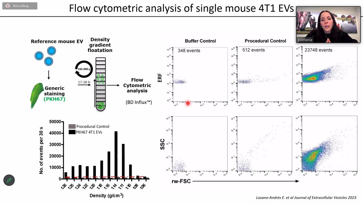 Student Network on EVs (@snevresearch) on Twitter photo Thanks again Estefanía <a href="/physaliaislove/">Estefanía Lozano-Andrés</a> for your great talk on analysing EVs using flow cytometry - check out some screenshots!
Also thanks to our audience and moderators (@ayushpanda2002 <a href="/CagJ2021/">Carlos Jesus</a>).
Subscribe to our YouTube channel to rewatch this talk: youtube.com/@snevresearch Thanks again Estefanía <a href="/physaliaislove/">Estefanía Lozano-Andrés</a> for your great talk on analysing EVs using flow cytometry - check out some screenshots!
Also thanks to our audience and moderators (@ayushpanda2002 <a href="/CagJ2021/">Carlos Jesus</a>).
Subscribe to our YouTube channel to rewatch this talk: youtube.com/@snevresearch