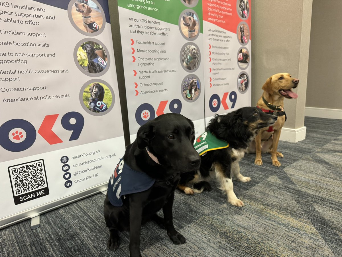 An amazing 2 days at the #OK9 Conference! Great to have so many wonderful collaborations to bring support to #emergencyservices colleagues! @bluelightcardfn @policecareuk @OscarKiloUK @DogsTrust #Wellbeing #dogs #together