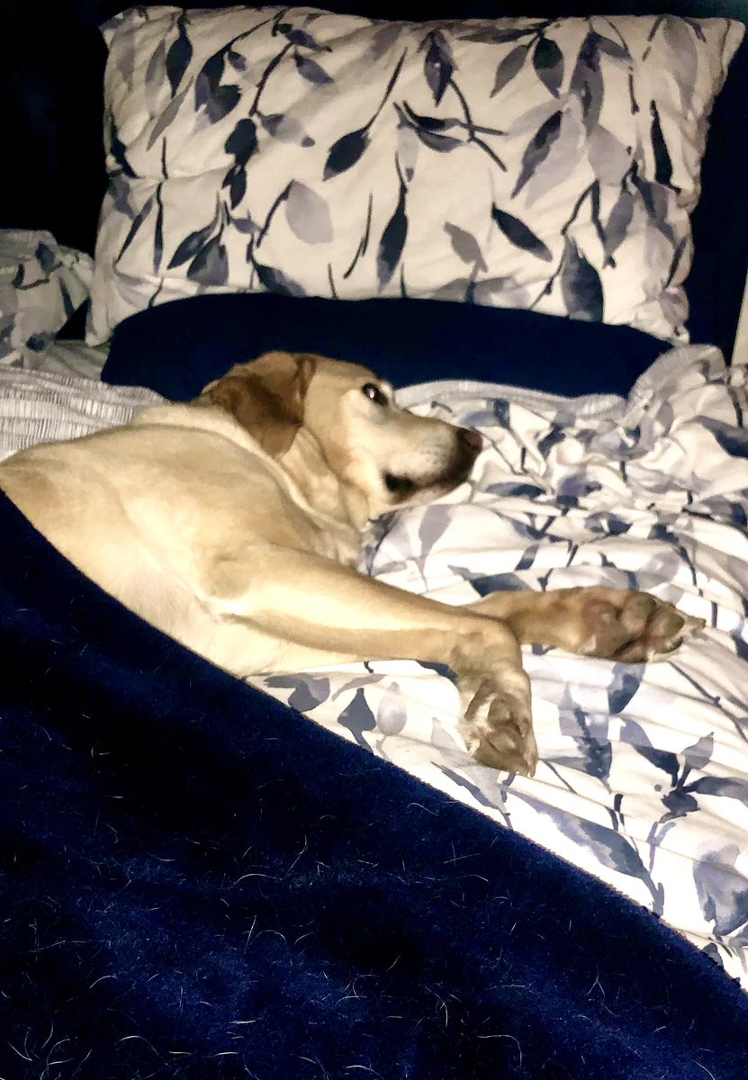 Work Wellness Ltd tweet media