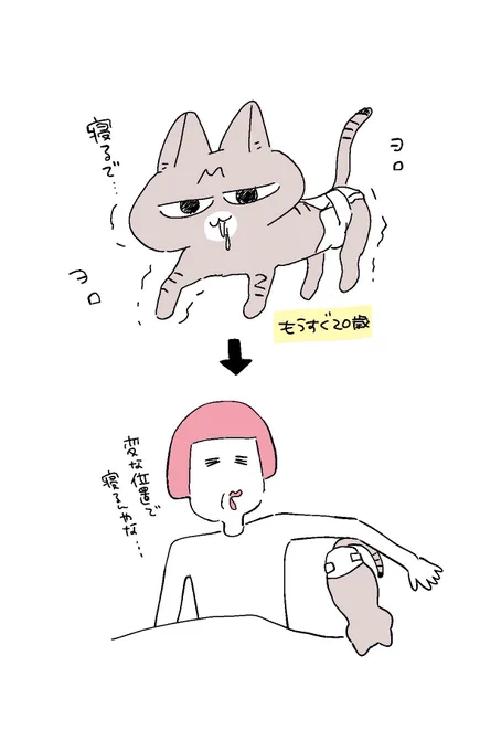 おむつデビューした猫と甘えん坊猫 