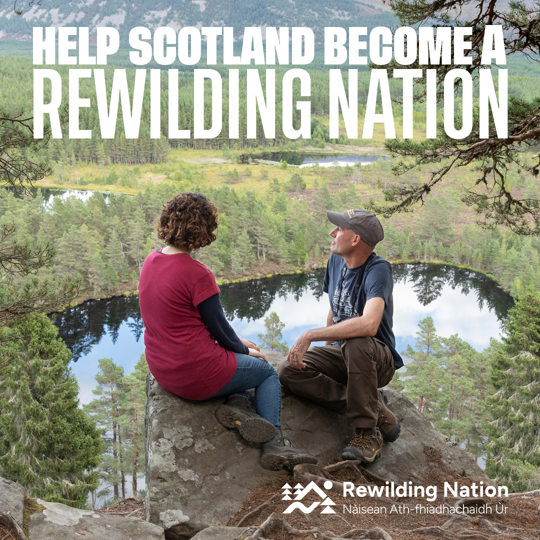 Now's our chance to see Scotland with vast native forests, seas filled with life & thriving communities 🌄 Help us urge the Scottish Government to declare Scotland the world’s first #Rewilding Nation & commit to nature recovery across 30% of land & sea ⬇️ i.mtr.cool/qyhwrbzklt