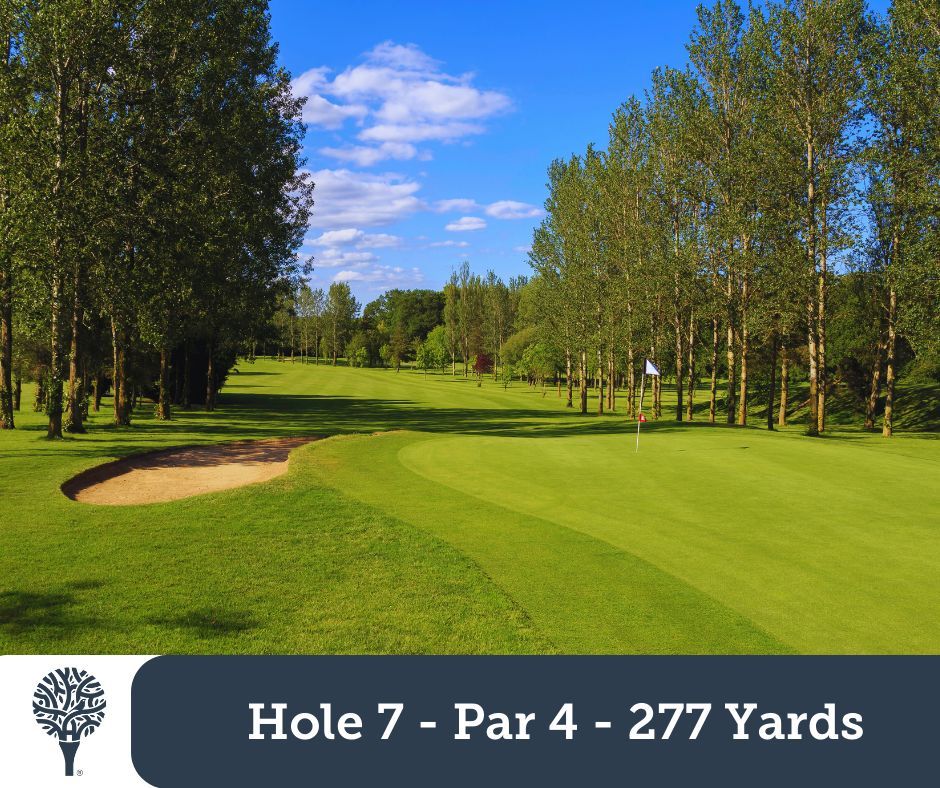 Hole 7 at The Hertsmere is a short and driveable par 4⛳ Our Pro's Tip: A short par 4 and you may be tempted to play a driver from the tee, but consider an iron layup to steer clear of the trees. ⚪277 🟡274 🔴265 Do you take driver off the tee on the 7th? #golf #golfcourse