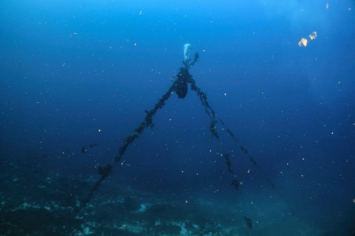 COMGEBAL_ET's tweet photo. La sección de buceo del Club Deportivo Militar "Mallorca",  junto con el PNMT de #Cabrera han  iniciado la campaña de limpieza de fondos marinos 2024, con varias inmersiones durante las que se están extrayendo gran cantidad de redes y basura
@MCANA_ET #COMGEBAL @oapngob #MAPER https://t.co/U7hBG5iDeK